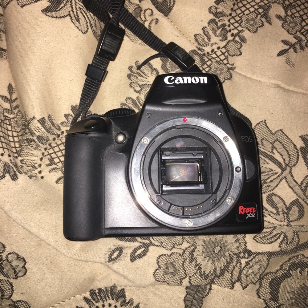 Canon Dslr - Picture 5 of 8